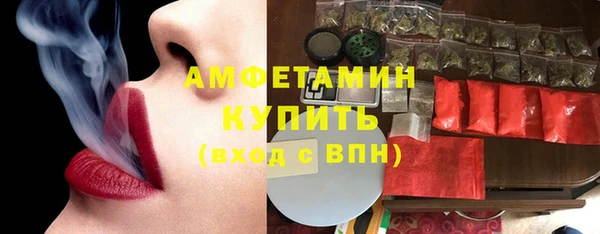 spice Богородицк